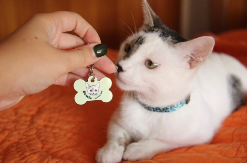 PetChapa Personalizável