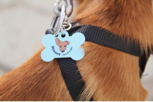 PetChapa Personalizável